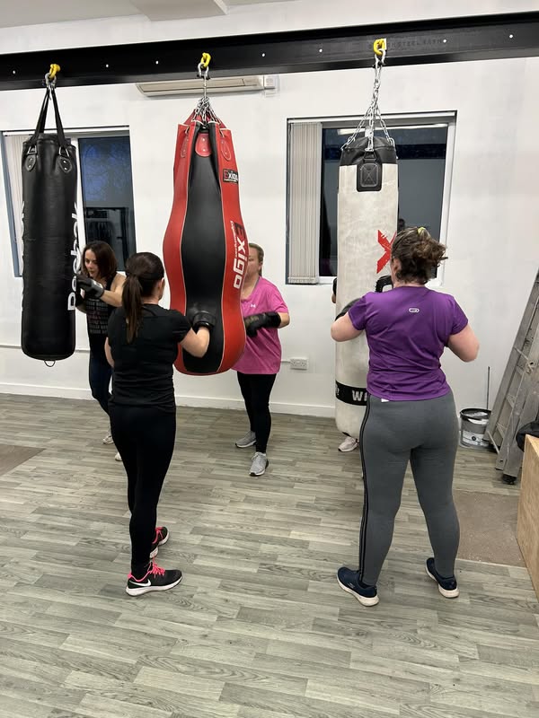 level up living boxfit